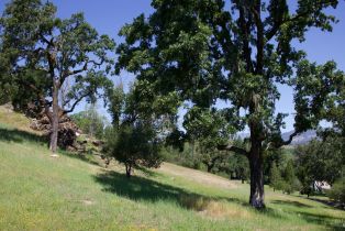 Single Family Residence, Soda Rock lane, Healdsburg, CA 95448 - 60