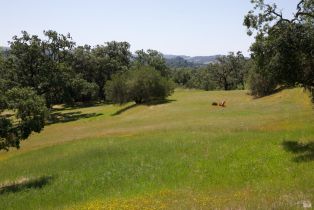 Single Family Residence, Soda Rock lane, Healdsburg, CA 95448 - 62