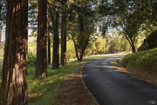 Single Family Residence, Soda Rock lane, Healdsburg, CA 95448 - 5