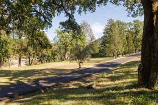 Single Family Residence, Soda Rock lane, Healdsburg, CA 95448 - 8