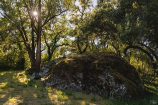 Single Family Residence, Soda Rock lane, Healdsburg, CA 95448 - 61