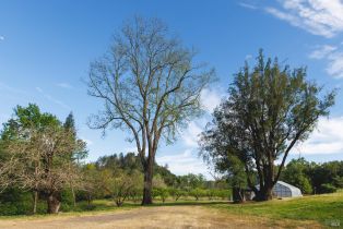 Single Family Residence, Soda Rock lane, Healdsburg, CA 95448 - 45