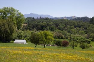 Single Family Residence, Soda Rock lane, Healdsburg, CA 95448 - 51