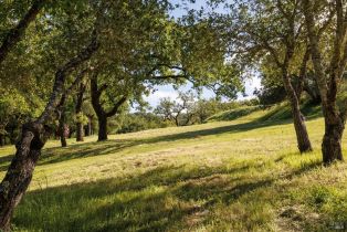 Single Family Residence, Soda Rock lane, Healdsburg, CA 95448 - 59
