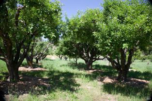 Single Family Residence, Soda Rock lane, Healdsburg, CA 95448 - 52