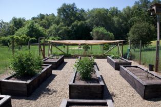 Single Family Residence, Soda Rock lane, Healdsburg, CA 95448 - 50