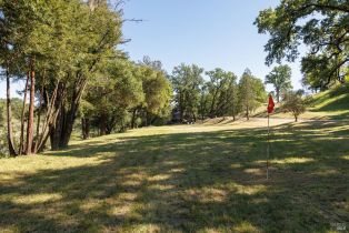 Single Family Residence, Soda Rock lane, Healdsburg, CA 95448 - 9