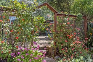 Single Family Residence, Hooker avenue, Sonoma, CA 95476 - 38