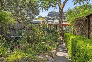Single Family Residence, Hooker avenue, Sonoma, CA 95476 - 42