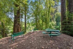 Single Family Residence, Oak road, Russian River, CA 95436 - 51