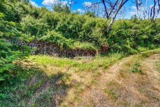 Residential Acreage,  State Highway  128 none, Napa, CA 94558 - 82