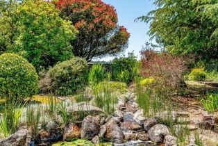 Single Family Residence, Blank road, Sebastopol, CA 95472 - 29
