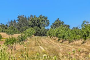 Agriculture,  State Highway 128 none, Calistoga, CA 94515 - 73