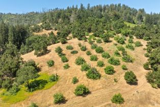 Agriculture,  State Highway 128 none, Calistoga, CA 94515 - 19