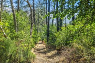 Agriculture,  State Highway 128 none, Calistoga, CA 94515 - 60