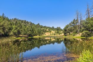 Agriculture,  State Highway 128 none, Calistoga, CA 94515 - 61