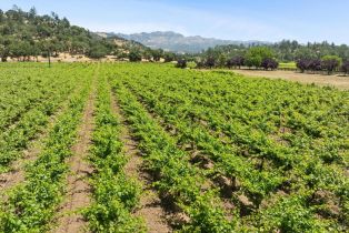 Agriculture,  State Highway 128 none, Calistoga, CA 94515 - 33
