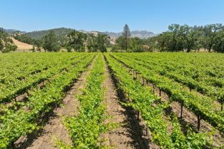 Agriculture,  State Highway 128 none, Calistoga, CA 94515 - 17