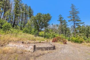 Agriculture,  State Highway 128 none, Calistoga, CA 94515 - 56