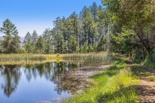 Agriculture,  State Highway 128 none, Calistoga, CA 94515 - 69