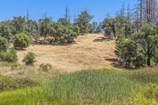 Agriculture,  State Highway 128 none, Calistoga, CA 94515 - 64