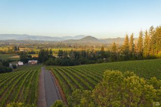 Single Family Residence, Dry Creek road, Healdsburg, CA 95448 - 73