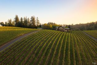 Single Family Residence, Dry Creek road, Healdsburg, CA 95448 - 74