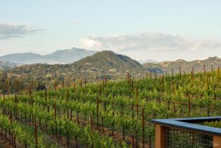 Single Family Residence, Dry Creek road, Healdsburg, CA 95448 - 4