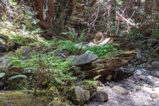 Residential Acreage,  Lyons court, Jenner, CA 95450 - 12