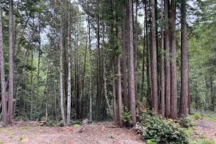 Residential Acreage,  Lyons court, Jenner, CA 95450 - 4