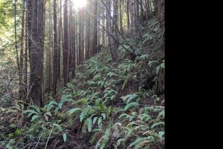 Residential Acreage,  Lyons court, Jenner, CA 95450 - 9