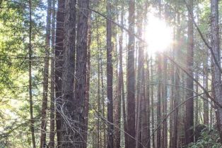 Residential Acreage,  Lyons court, Jenner, CA 95450 - 6