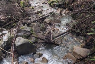 Residential Acreage,  Lyons court, Jenner, CA 95450 - 15