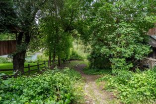 Single Family Residence, Redwood drive, Healdsburg, CA 95448 - 17