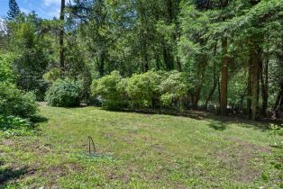 Single Family Residence, Wagnon road, Sebastopol, CA 95472 - 49