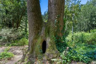 Single Family Residence, Wagnon road, Sebastopol, CA 95472 - 51