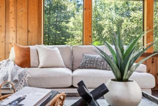 Single Family Residence, Wagnon road, Sebastopol, CA 95472 - 14