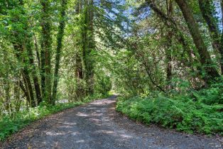 Single Family Residence, Wagnon road, Sebastopol, CA 95472 - 52