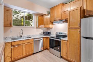 Single Family Residence, Canyon 2 road, Russian River, CA 95446 - 5