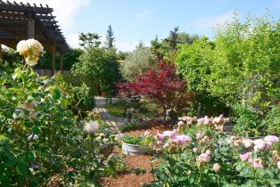 Single Family Residence, Jefferson street, Napa, CA 94559 - 28
