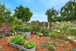 Single Family Residence, Jefferson street, Napa, CA 94559 - 42