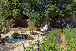 Single Family Residence, Wilton avenue, Sebastopol, CA 95472 - 6