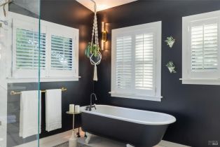 Single Family Residence, Wilton avenue, Sebastopol, CA 95472 - 33