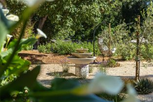 Single Family Residence, Wilton avenue, Sebastopol, CA 95472 - 5