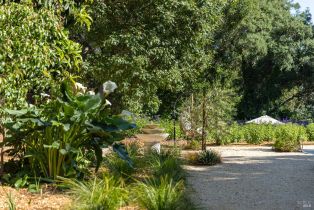 Single Family Residence, Wilton avenue, Sebastopol, CA 95472 - 4