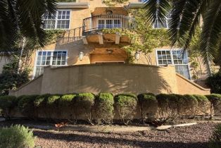 Single Family Residence, Coleman Valley road, Occidental, CA 95465 - 8