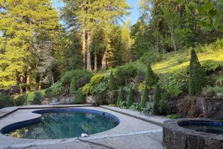 Single Family Residence, Coleman Valley road, Occidental, CA 95465 - 30