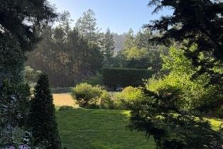 Single Family Residence, Coleman Valley road, Occidental, CA 95465 - 62