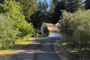 Single Family Residence, Coleman Valley road, Occidental, CA 95465 - 73