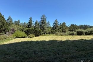 Single Family Residence, Coleman Valley road, Occidental, CA 95465 - 65